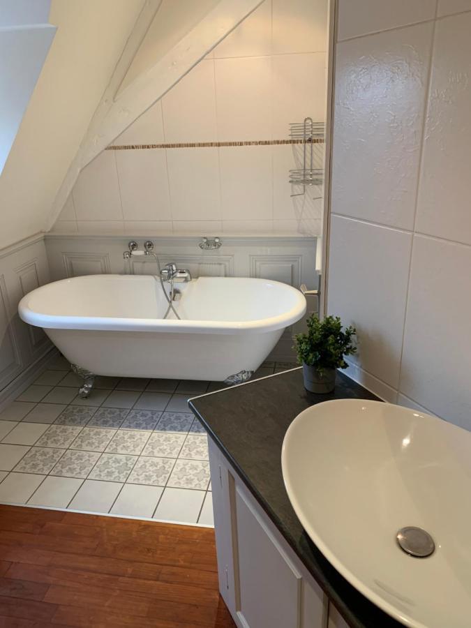 Historical town center spacious flat Colmar Exterior foto